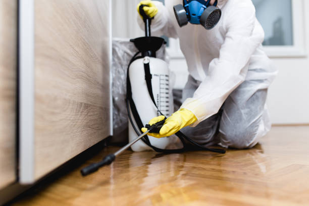 Pest Prevention Services in Forest Park, GA