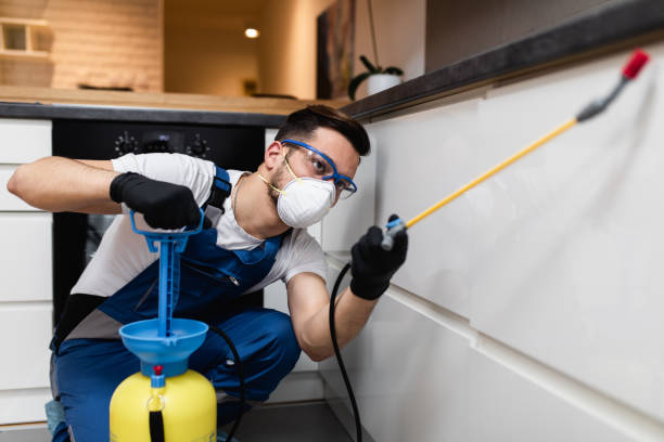 Best Affordable Pest Control Services  in Forest Park, GA