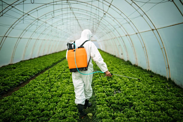 Best Emergency Pest Control  in Forest Park, GA