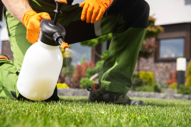 Reliable Forest Park, GA Pest Control Solutions