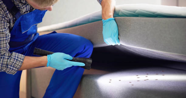 Best Cockroach Control Services  in Forest Park, GA