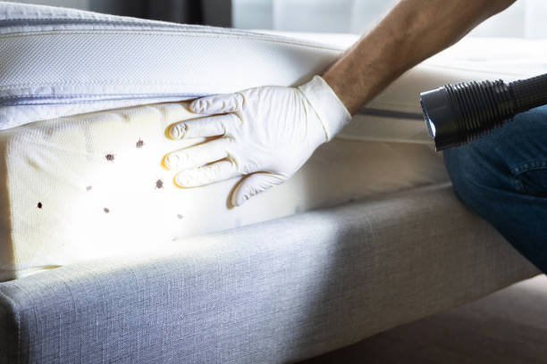 Pest Prevention Services in Forest Park, GA