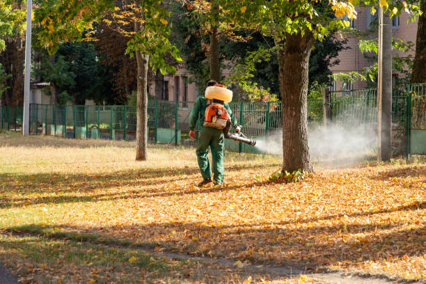 Best Residential Pest Control  in Forest Park, GA