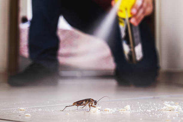 Best Wildlife Control Services  in Forest Park, GA