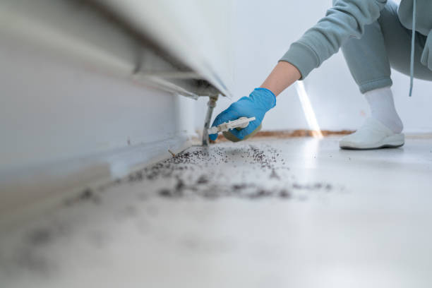 Best Pest Prevention Services  in Forest Park, GA