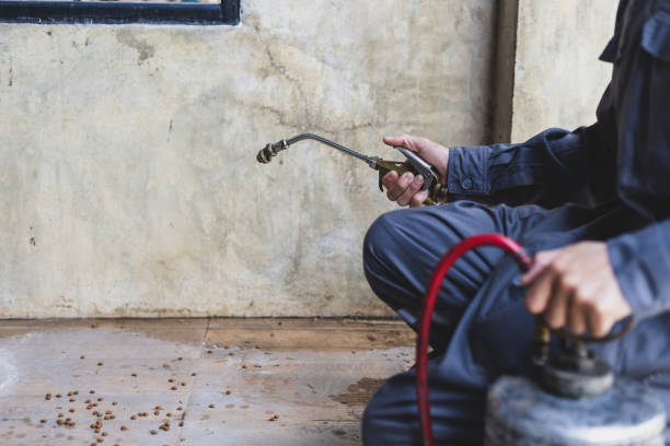 Best Affordable Pest Control Services  in Forest Park, GA